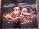 Limp Bizkit Chocolate Starfish and the Hot Dog Flavored Water STRIPED VINYL NEW