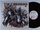 TEX & THE HORSEHEADS Self Titled ENIGMA E-1070 LP VG+ e