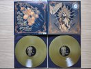 THE FLIGHT OF SLEIPNIR - V * Exclusive Golden Vinyl 2LP incl. Poster * Ltd. 100