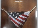 The Black Crowes – Amorica - 2 x LP Vinyl Records 12