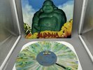 Buddha by Blink-182 Vinyl -