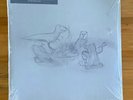 BIG THIEF Limited ‎Dragon New Warm Mountain Eco-Mix Random Colored Vinyl Sealed