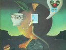 NICK DRAKE 