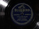 Robert Lockwood BLUEBIRD 8820 E- 