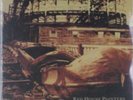 Red House Painters - Rollercoaster NEW LP
