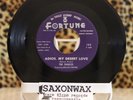 Doo Wop 45 DIABLOS Adios My Desert  / I Want An Old Fashioned Girl FORTUNE 2nd