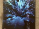 Hum Downwards Is Heavenward Double LP 180g Vinyl  2xLP