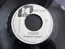 Almighty Stones - Penetrate 1976 JAMAICA 45 HOT STUFF DUB/ROOTS