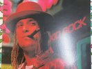KID ROCK - Devil Without A Cause 2016 US Black Vinyl 2LP -  Warner Bros. 5533381
