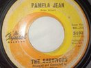 Rare Surf 45 - The Survivors - Pamela Jean - Capitol Brian Wilson HEAR IT