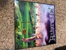 Megadeth Youthanasia Purple Vinyl Record