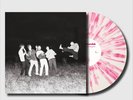 The Royston Club - SHAKING HIPS AND CRASHING CARS LTD 500 VINYL PRESALE SOLD OUT