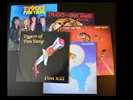 5 LPs Tygers of Pan Tang Wreckage, Crazy nights, Wildcat, First kill, Spellbound