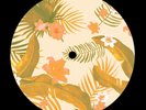 deep house broken beat 7” JOHN BELTRAN Back To Bahia NEW MotorCity Wine $0 S&H