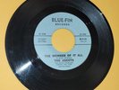 THE ASCOTS garage rock THE WONDER OF IT ALL 1966 Blue Fin I WON'T CRY psych