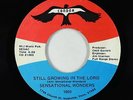 Deep Soul 45 - Sensational Wonders - Still Growing In The Lord - Condor - mp3