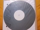 Screeching Weasel- TEST PRESS Vinyl Recess Records 2009 Boogadaboogadaboogada