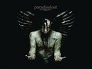 Paradise Lost In Requiem (Vinyl) 12