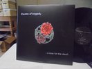 * LIMITED ED OF 250*THEATRE OF TRAGEDY ROSE FOR THE DEAD LP NM