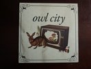 Owl City 