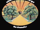 The Dramatics - Whatcha See Is Whatcha Get - Used Vinyl Record - G16291A