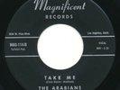ARABIANS - Tear Drops In The Night / Take Me - MAGNIFICENT- Doo Wop 45