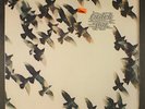 CRACK THE SKY: safety in numbers LIFESONG 12