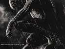 Christopher Young Spider-Man 3 Music From and Inspired By (Vinyl)