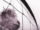 Pearl Jam - Vs. Vinyl Edition (Remastered) (NEW VINYL LP)