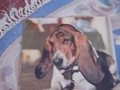 Duffy Lp