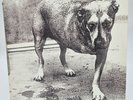 Alice In Chains Self Titled Featuring Grind LP Vinyl Record 1995