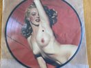 Marilyn Monroe 12 Track Picture Disc LP  UK Free Post