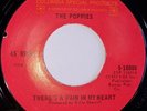 The Poppies There's A Pain In My Heart CPS Columbia Northern Soul Oldie