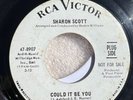 NORTHERN SOUL 45 RPM RECORD - SHARON SCOTT - RCA 47-8907-PROMO