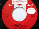 LITTLE CAESAR & CONSULS 45 You Talk Too Much / Hey Girl VG+/VG++ PROMO   Mc 1511