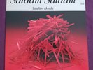 Takehiro Honda Salaam Salaam Japan Vinyl LP 1974 NEAR-AS-NEW 本田竹曠 サラーム・サラーム Jazz