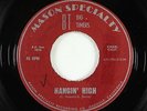 Garage Surf Inst. 45 - Big Timers - Hangin' High - Mason Specialty - mp3 - rare