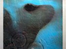 Pink Floyd - Meddle NEAR MINT- Vinyl LP Gatefold German Club Harvest ‎28 652-6