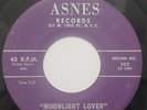 VG+ Rare NYC Doo Wop 45 - Jiving Juniors - Moonlight Lover - Asnes HEAR IT