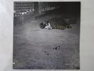 John Zorn Naked City Elektra Nonesuch 9 79238-1 Japan  VINYL LP