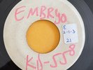 EMBRYO - Virgin Girl / ISLAND SOUL FUNK 45 Blank pre release