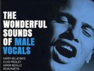 VA-The Wonderful Sounds of Male Vocals- 2LP 180g Analogue Productions