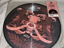 Atmosphere/The Uncluded Someday Soon/BATS Picture Disc Vinyl USED RSD 2012