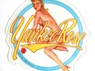 Mint  David Lee Roth Yankee Rose Shaped Vinyl Picture Disc DLR Van Halen 1986