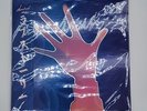Desired | Lovestory Vinyl LP (NeonCity Record Marble Edition) InHand Sailor Moon