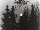 Darkthrone - Panzerfaust LP #77146