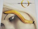PERFECT CIRCLE THIRTEENTH STEP VINYL RECORD 2 BLACK LP VIRGIN RECORDS 7243580918