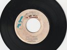 REGGAE ROOTS 45 THE TURNTABLE LABEL THE UPSETTERS 