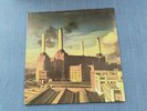 PINK FLOYD 12