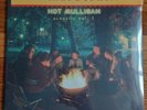 Hot Mulligan Acoustic Vol 1 + 2 Vinyl LP Limited Purple White Splatter /1500 New